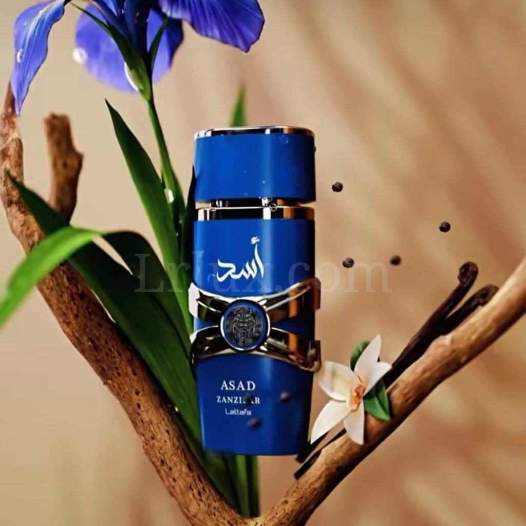 Asad Zanzibar EDP By Lattafa - Lrlux.com