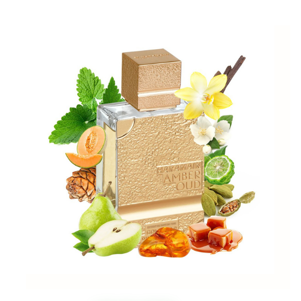 Amber Oud Gold 999.9 Extrait de Parfum 2.5 oz - Lrlux.com